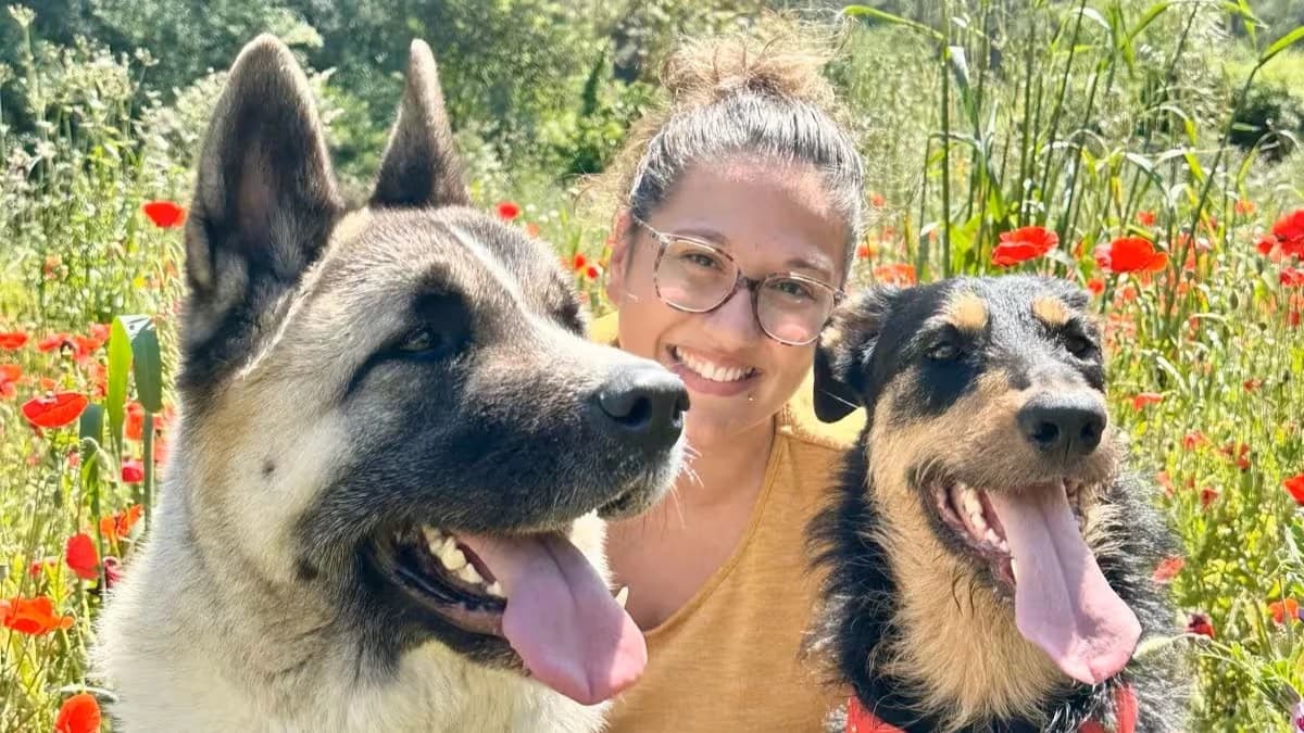 Bannière du blog Haronne Dogs School