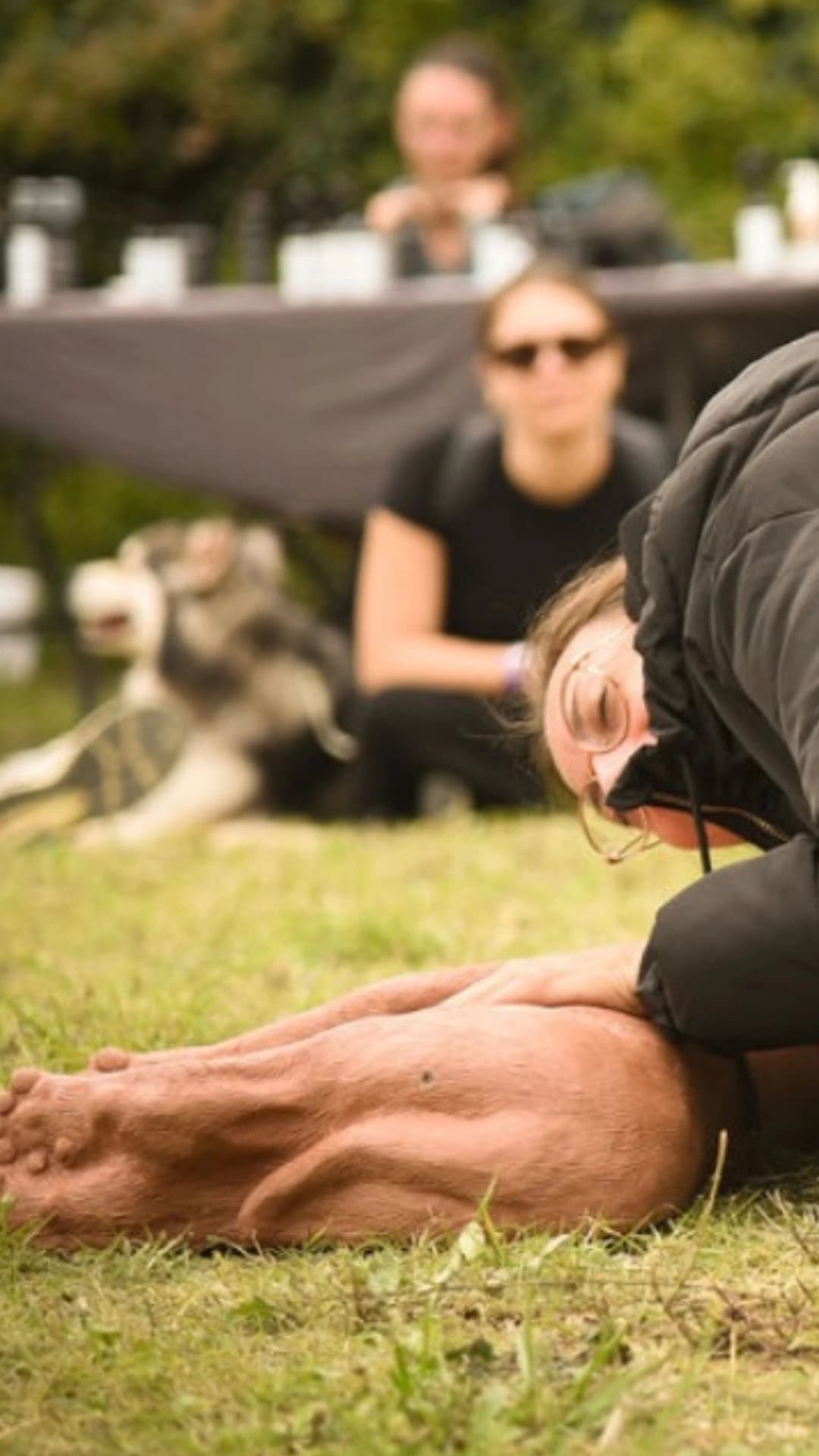 Etudiant pratiquant les premiers secours canin et félin
