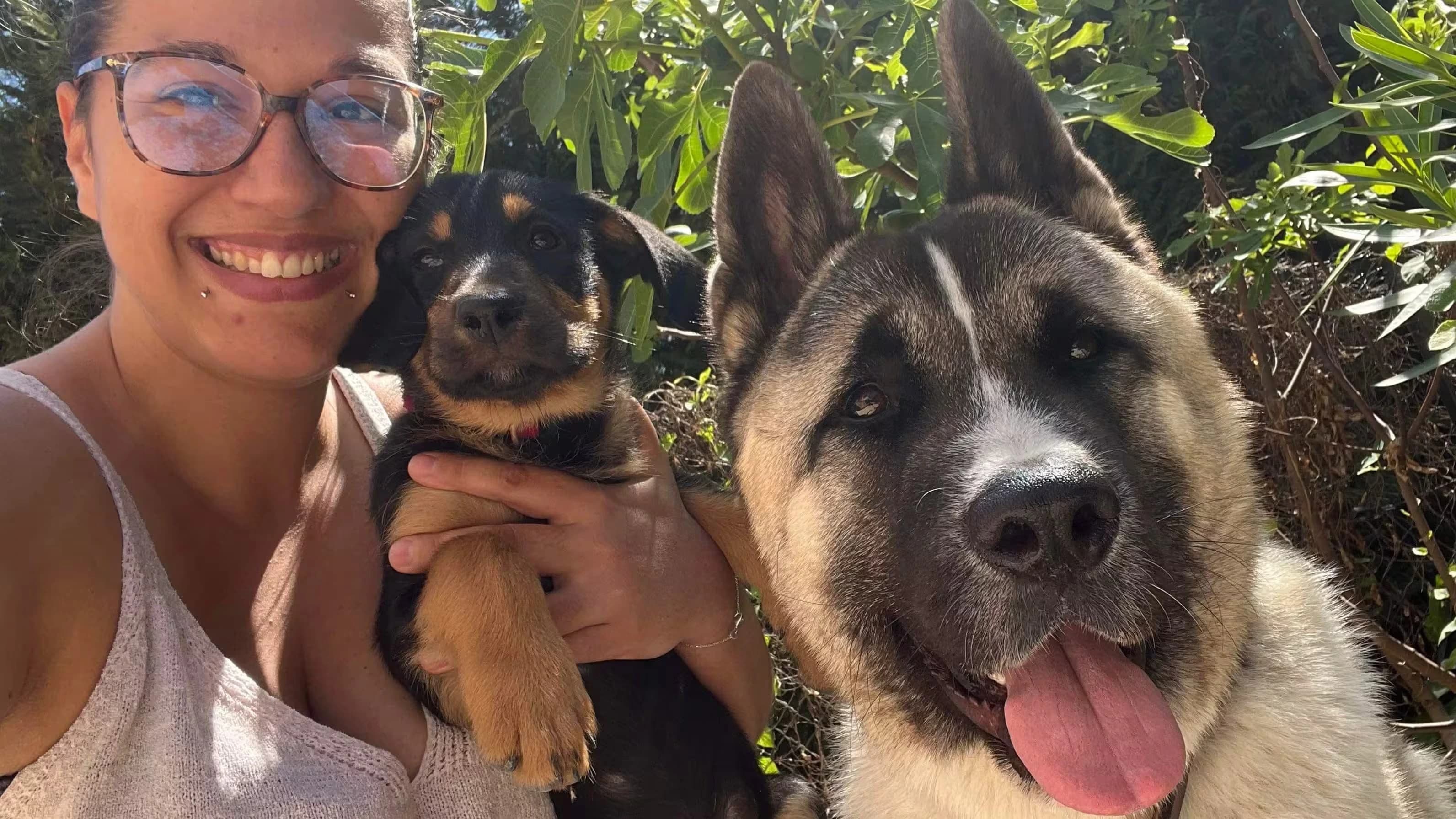 Image représentant le profil de l'éducateur canin ainsi que ses chiens