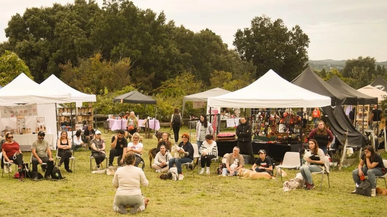 Bannière Premiers Secours Canin et Félin